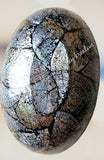Shell bowl, black, oval 18 x 10 cm approx