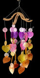 Capiz shell wind chimes multicoloured  50cm drop  x 15cm wide approx #0035