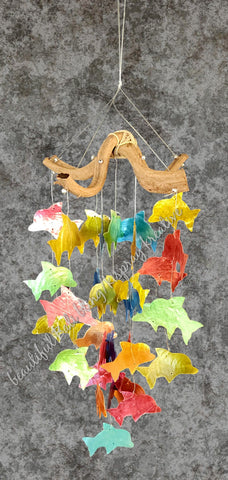 Capiz shell wind chime dolphin driftwood 60cm drop  x 16 cm wide approx #0047