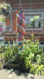 Capiz shell wind chime multicoloured rattan circle 65 cm drop  x 12 cm wide approx (#0039)