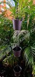 Rainchain, approximately 7cm x 160cm long