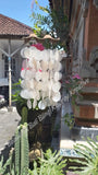 Capiz shell wind chime DRIFTWOOD 54 cm drop  x 31cm wide approx #0134