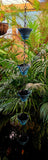 Rainchain, blue approximately 10cm x 120cm long #7