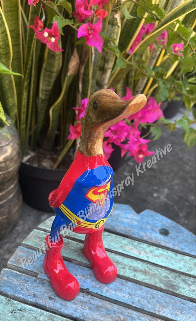 Duck, wooden, Superman 🦆