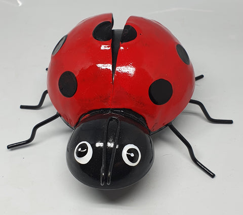 Lady bug