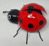 Lady bug