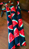 Bamboo reusable straw pack of 2, with cleaning brush, watermelon pattern bag